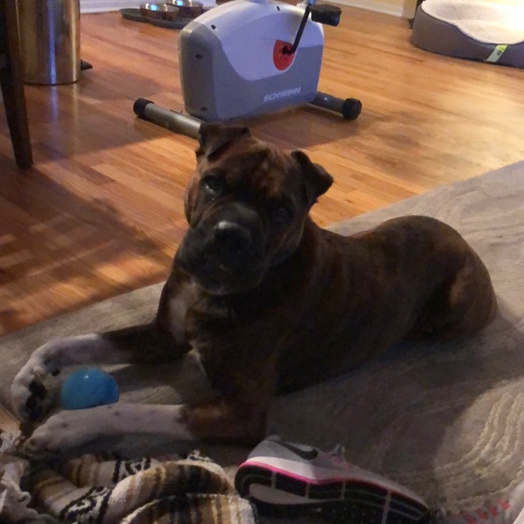 Meet your Posher, Hannah - Picture 1 of 1